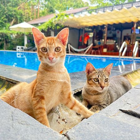 Have Fun Phu Quoc Villa Eksteriør bilde
