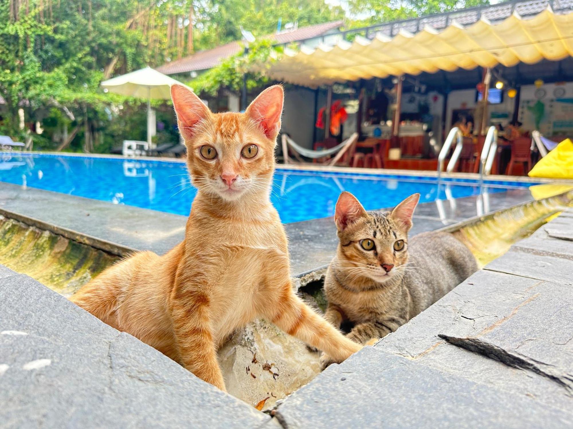 Have Fun Phu Quoc Villa Eksteriør bilde